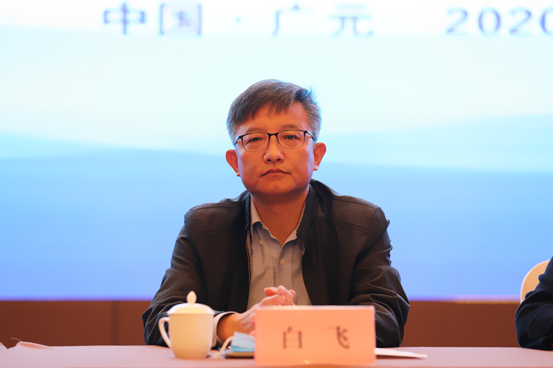 白飞_副本.jpg