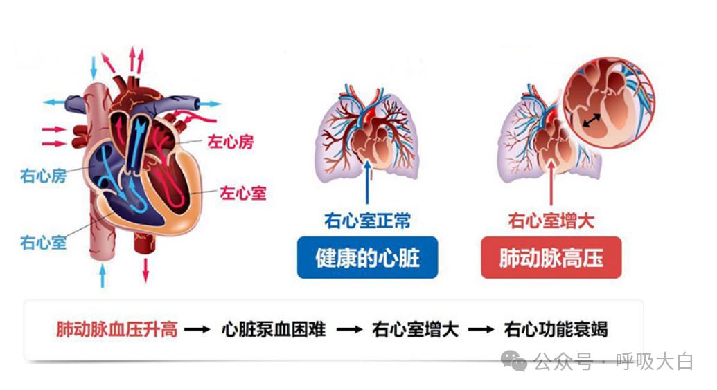 2025082911073606.jpg 图片1.jpg