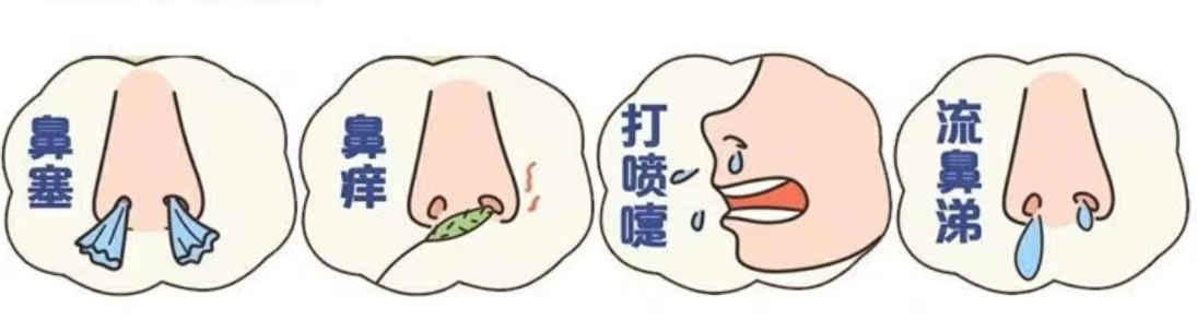 鼻炎12.png